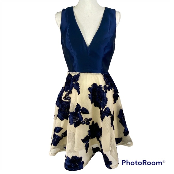 Maniju Blue Ivory Floral Fit and Flare Short Dress Sleeveless Formal Size Large - Picture 1 of 11